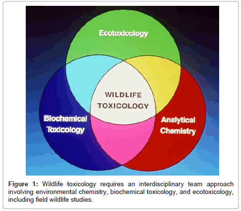 Behavioural Ecotoxicology (Ecological & Environmental Toxicology Series)