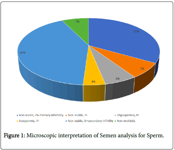 Sperm motility morphology - Porn archive