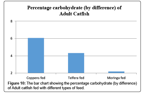 Catfish Feeding Chart