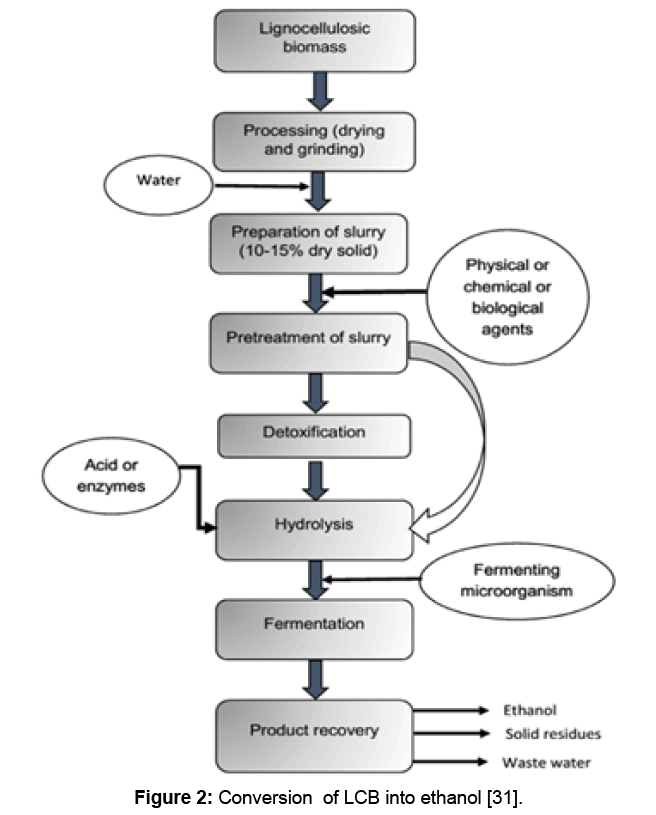 Integration Approach Of Anaerobic Digestion And Fermentation - 