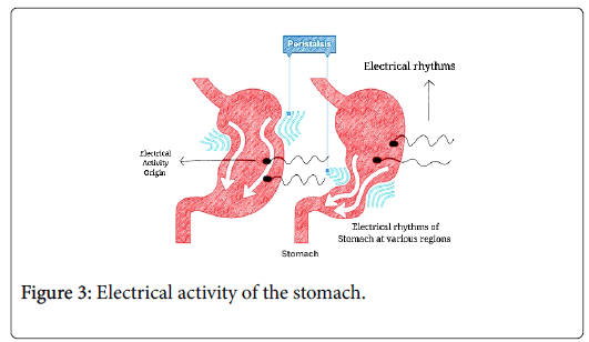 gastrointestinal-digestive-stomach