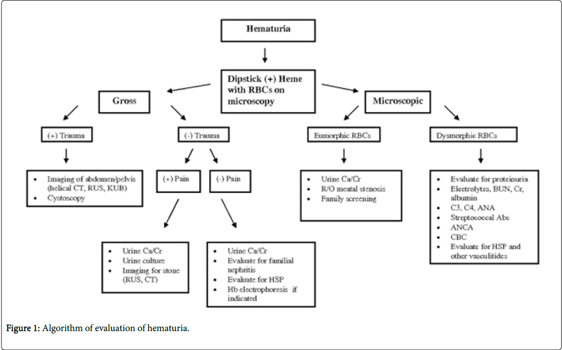 general-practice-Algorithm-evaluation