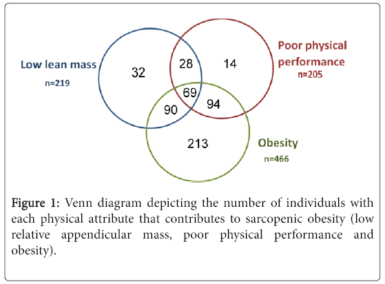 sarcopenic obesity and falls in the elderly weight and mass venn diagram