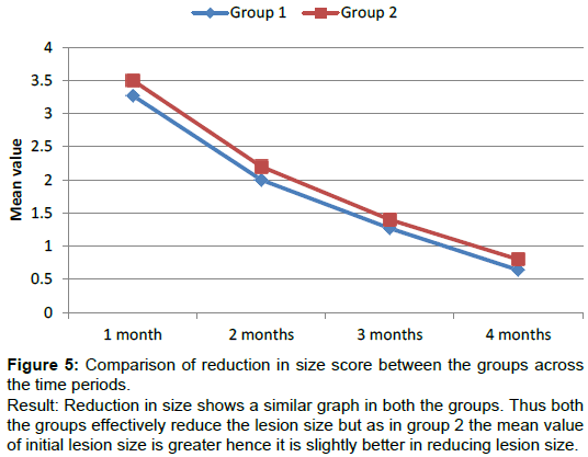 homeopathy-ayurvedic-Comparison-reduction-size