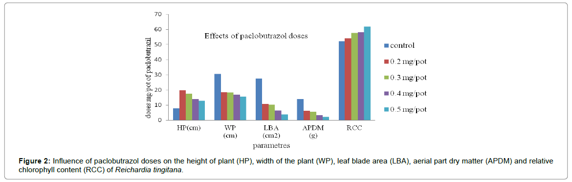 Effects Of Plant Growth Ants And Pot Sizes On The Height Horticulture Paclobutrazol Doses