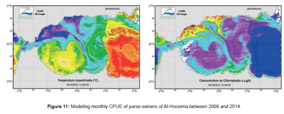 marine-science-research-development-Al-Hoceima