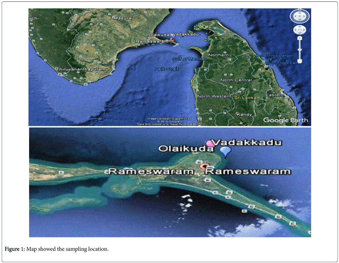 marine-science-research-development-sampling-location