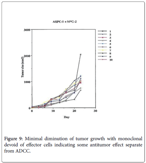 molecular-immunology-cell-antibody