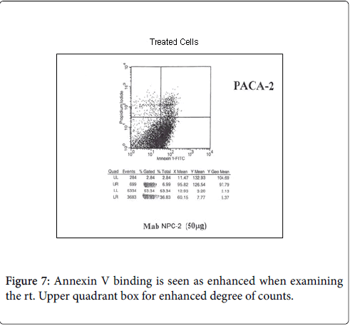 molecular-immunology-quadrant-box