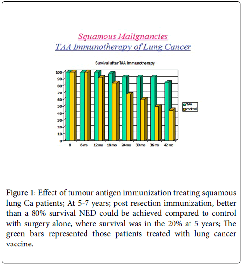 molecular-immunology-tumour-antigen