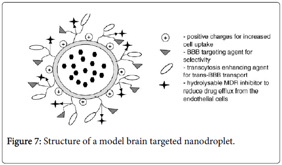 molecular-pharmaceutics-organic-process-research-model-brain