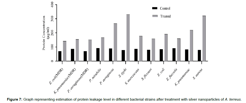 synthesis and antibacterial activity of silver Synthesis of biogenic silver nanoparticles from medicinal plant and it’s antibacterial activity doi: 109790/5736-0908012933 wwwiosrjournalsorg 30 |page. synthesis and antibacterial activity of silver Synthesis of biogenic silver nanoparticles from medicinal plant and it’s antibacterial activity doi: 109790/5736-0908012933 wwwiosrjournalsorg 30 |page.