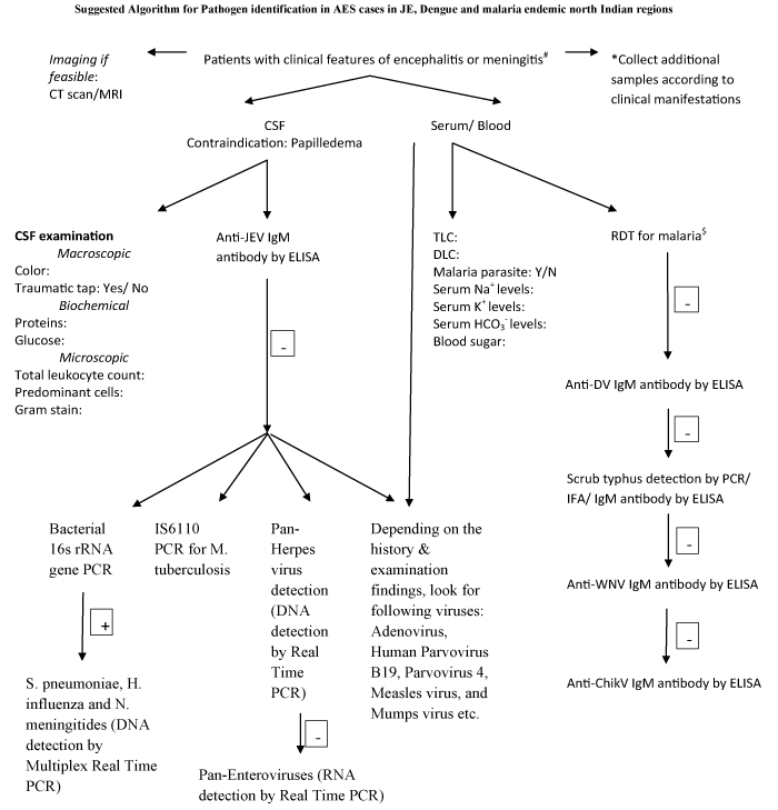 neuroinfectious-diseases-change-mental-status