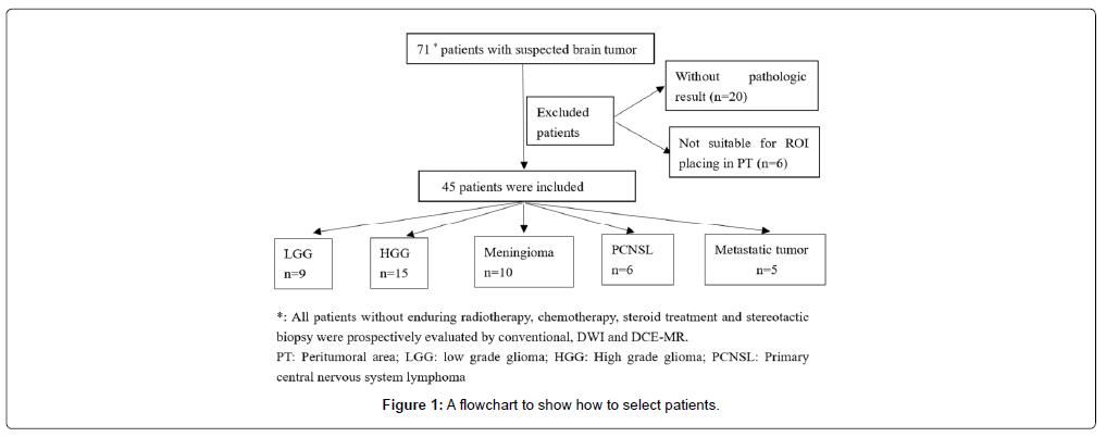 Pathophysiology Of Brain Tumor In Flow Chart