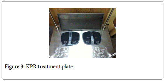 novel-physiotherapies-treatment-plate