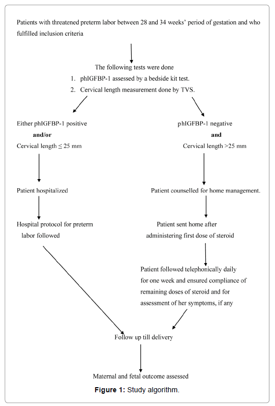 otolaryngology-algorithm