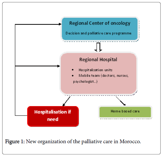 palliative-care-medicine-New-organization