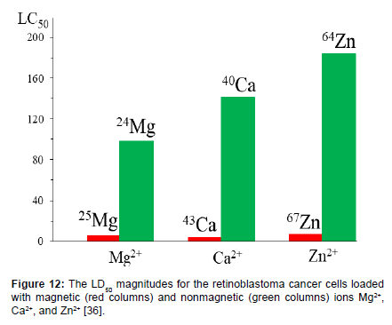 magnetic control of the dna synthesis by nuclear magnetic ions of mg mg chemistry