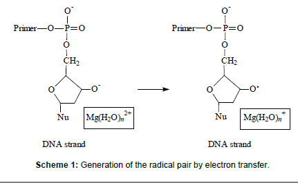 magnetic control of the dna synthesis by nuclear magnetic ions of mg mg chemistry