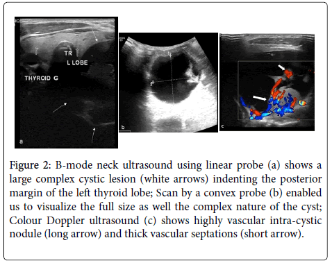 radiology-vascular