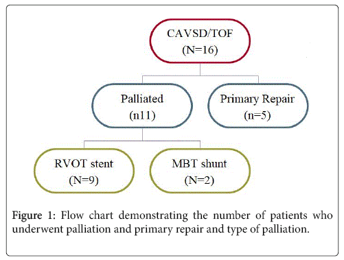 Diet Chart For Mvr Patient