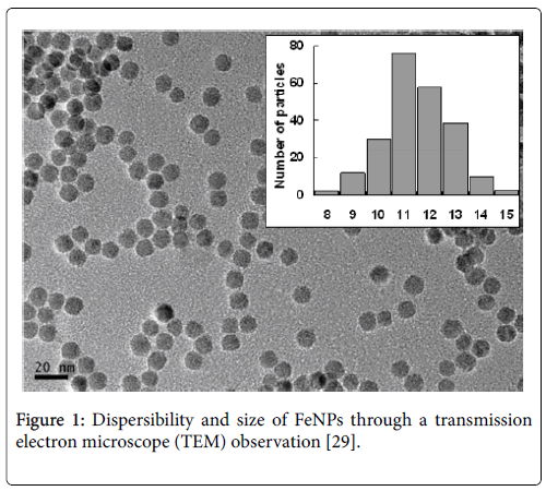 toxicology-electron-microscope