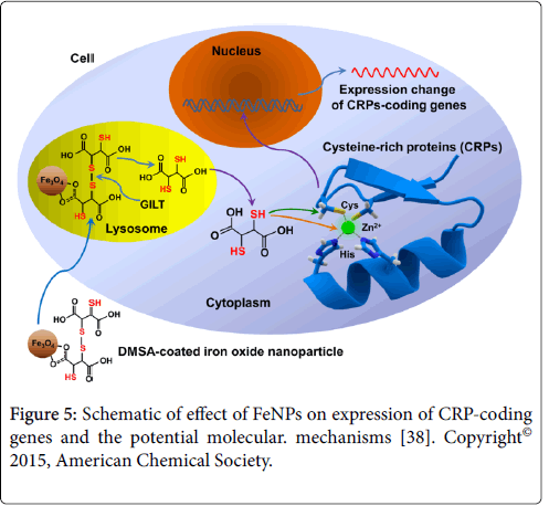 toxicology-potential-molecular