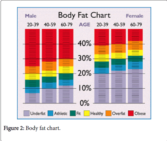 Coast Guard Body Fat Chart