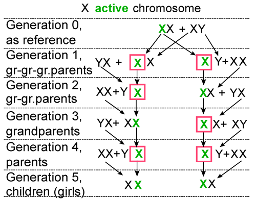 Xx Xy Chart